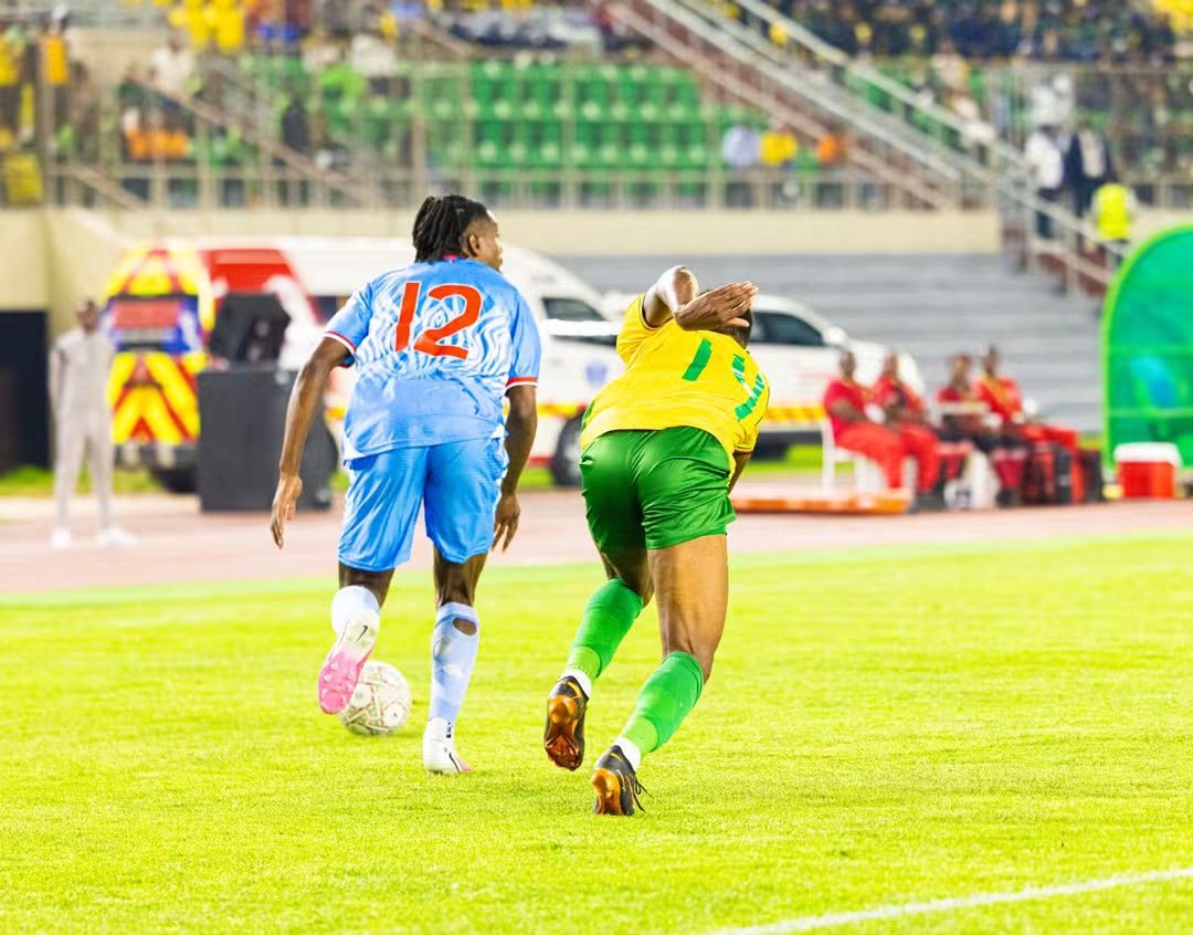 Zimbabwe vs Democratic Republic of Congo